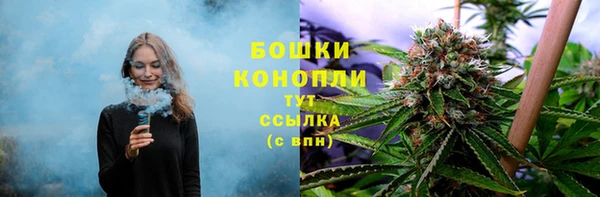 шишки Михайлов
