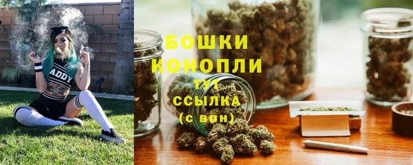трава Заволжск