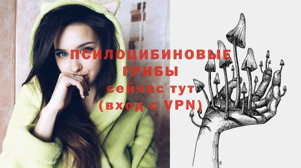 первитин Заводоуковск