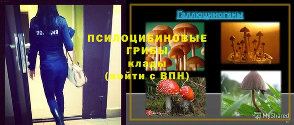 первитин Заводоуковск