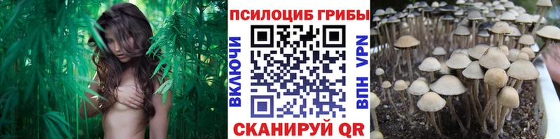 Купить  Ермолино  Галлюциногенные грибы MAGIC MUSHROOMS 