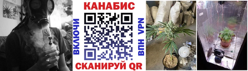 Бошки Шишки конопля  Купить где  Ермолино 